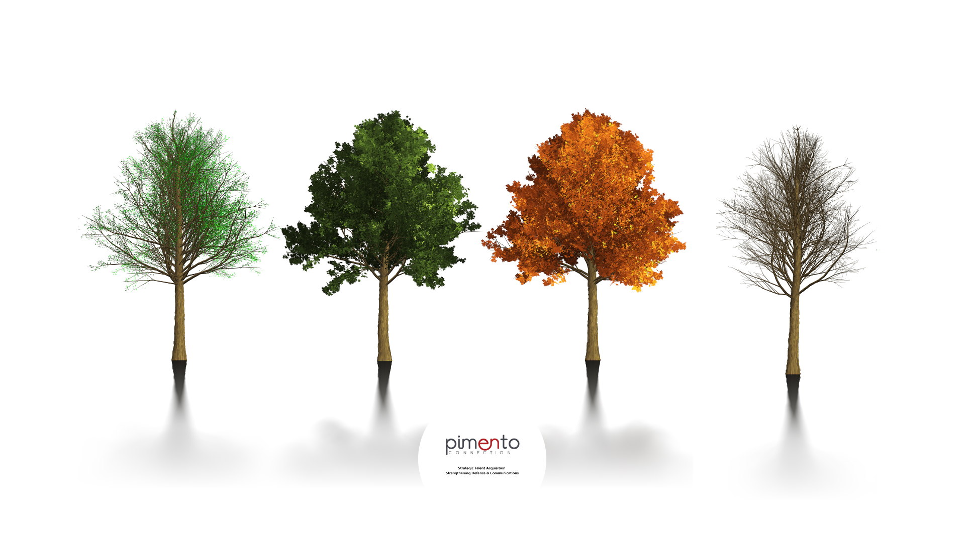four trees showing he four seasons